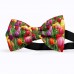 Papion personalizat, model flori lalele, gradina